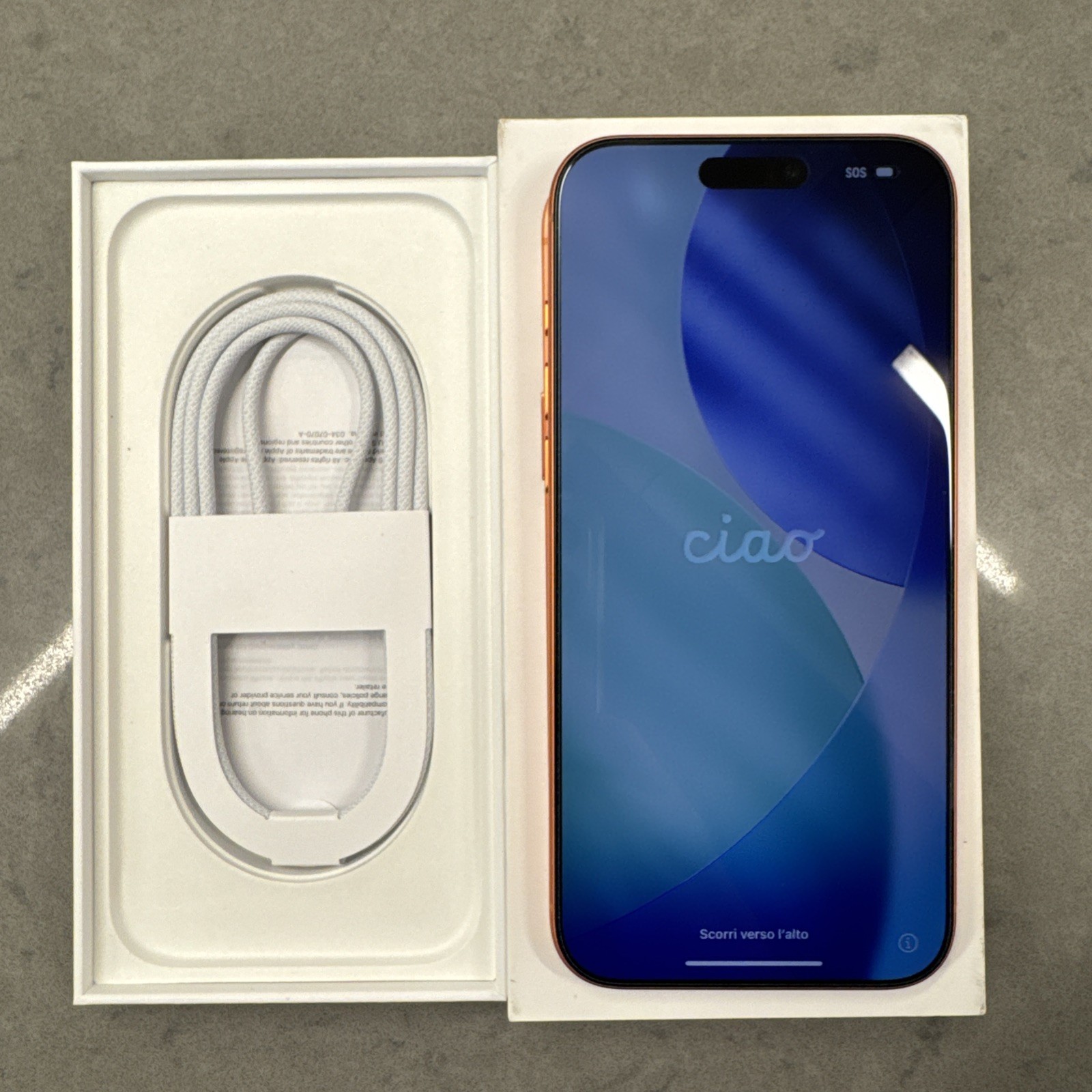 iPhone 17 Pro Max detail
